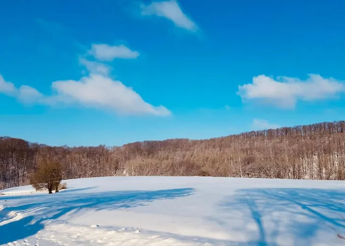 Extertal-ferienpark - Premium Sauna Wandern #56a * Extertal